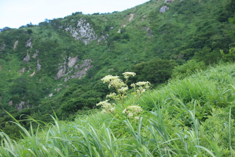 伊吹山尾根平成22年