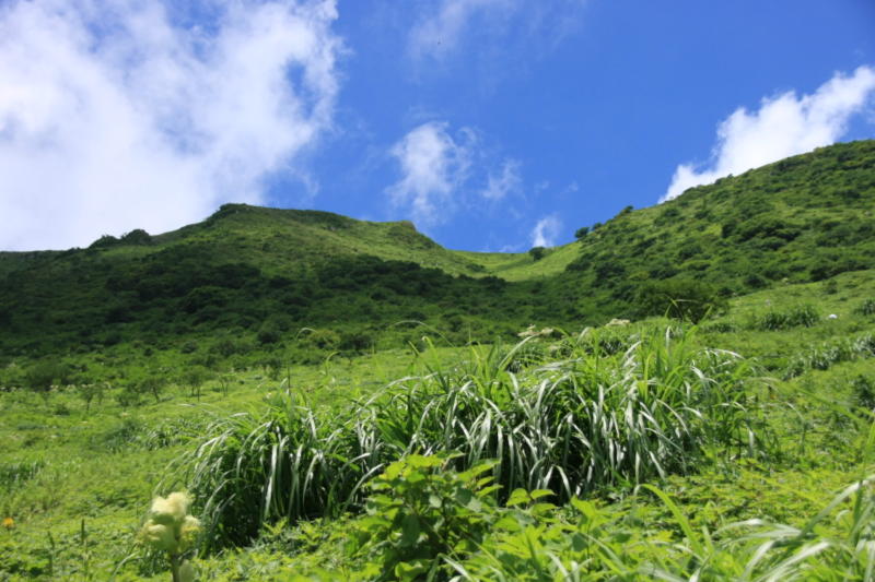 伊吹山南斜面平成22年